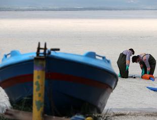 Parliament sets up commission on mucilage as efforts continue