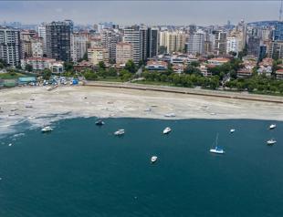 Expert warns of threat mucilage poses to small boats in Dardanelles