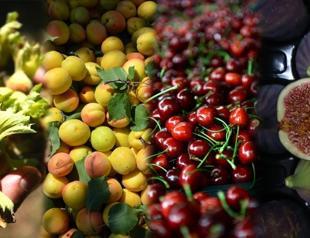 Turkey worlds largest hazelnut, cherry, fig, apricot, quince producer