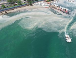 Over 4,555 cubic meters of mucilage collected from Marmara Sea