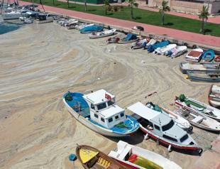 Turkey to use oxygenation technology to protect Marmara Sea from mucilage