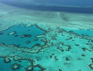 Great Barrier Reef should be listed as in danger, UNESCO says