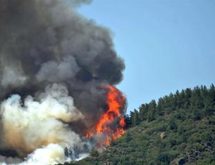Forest fires break out as Turkey experiences hottest days