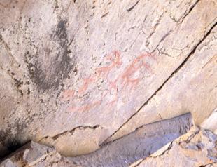 8,000-year-old deer drawings found in caves of Turkey’s east