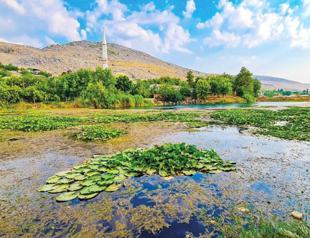 Pollution destroys natural wonder lake