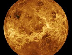 Lack of water rules out life on Venus