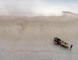 Turkey taking measures to fight drought: Agriculture minister