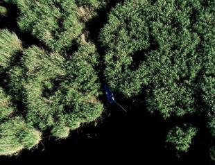 Sultan Reeds, a bird paradise in Central Anatolia