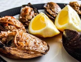 Consumption of mussels, bottom fish ‘risky’ amid mucilage invasion