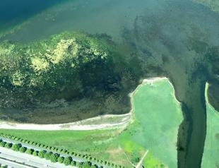 Thousands flock to beaches amid ongoing mucilage cleaning efforts