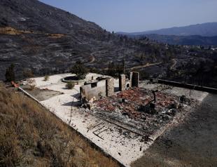 Four dead in Greek Cyprus worst forest fire in decades