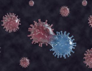 90-year-old infected with two virus variants at once