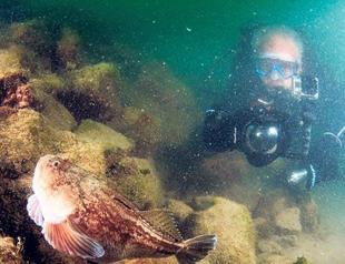 No trace of mucilage at intersection of Black Sea, Bosphorus