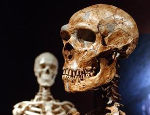 Just 7 percent of our DNA is unique to modern humans