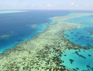 Barrier Reef outlook poor: Scientists
