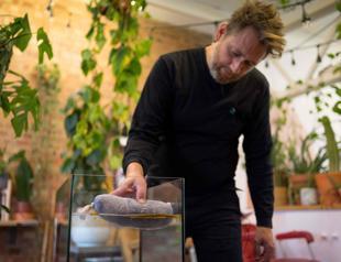 Hair today, green tomorrow: UK stylists join eco-drive