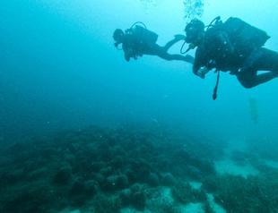 Greece’s first underwater museum opens ancient world to dive tourists