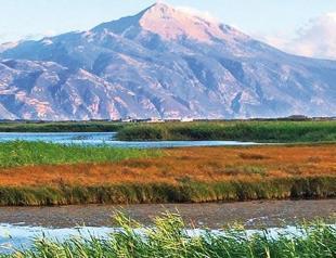 Birdwatcher warns over Milleyha Bird Sanctuary