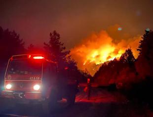 Most of forest fires under control: Minister