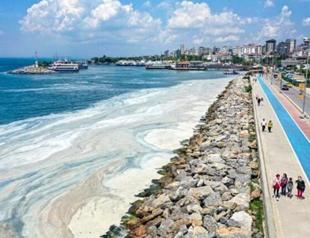 Authorities launch second phase in fight against mucilage