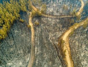 Probe underway, teams search for trace of arson in fires in Turkey’s south