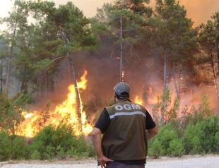 Two more die in southern Turkey forest fires, death toll at six