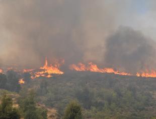 World leaders offer condolences to Turkey over wildfires