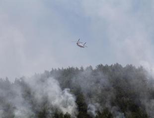 Turkey unites in fight against multiple forest fires