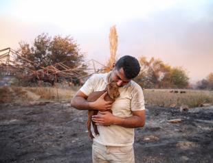 Miracle goat born from flames during forest fires