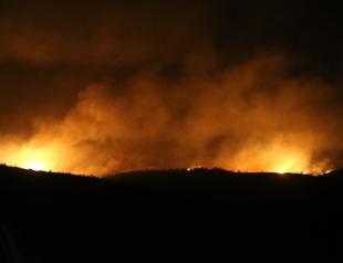 Efforts continue to put out forest fires as death toll rises