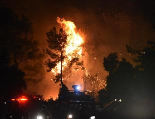 Fight against wildfires continues for 7th day