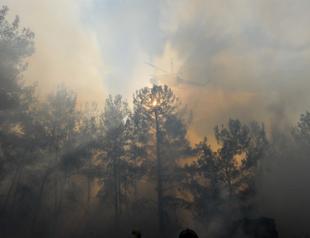 Greece fights fires during worst heatwave since 1987