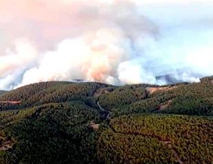 Aerial support speeds up on eighth day of Turkey fires