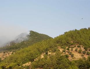 Six arrested for ‘starting fires’ in Muğla