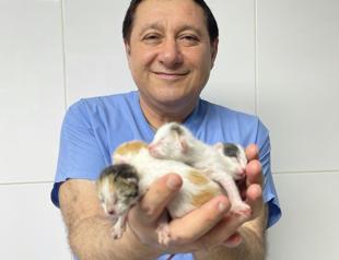 ‘Dr House’ gives hope to animals with hard-to-treat conditions