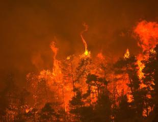 Wildfires rampage in Greek forests, cut large island in half