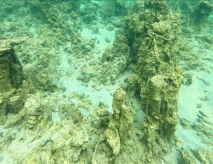 New microbialites discovered in eastern Turkey