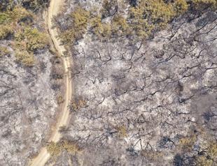 Drone footage reveals devastation after wildfires