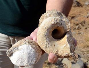 Sea creature fossils found in Turkey’s east