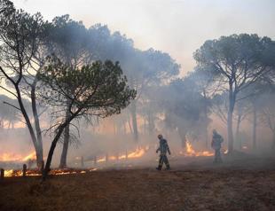 ’Fierce’ French wildfire forces evacuations near Saint-Tropez
