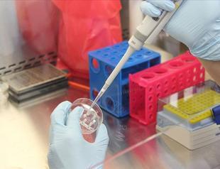 Turkey to impose mandatory PCR tests for some sectors
