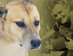 Stray dog to stay where he belongs following nationwide debate