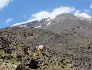 Glaciers on Turkeys highest mountain melting due to climate change