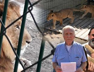 Baghdad Zoo Animals Suffer as Mercury Hits 50 Degrees