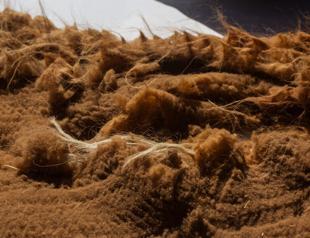 Ancient vicuna wool shearing tradition lives on in Peruvian Andes