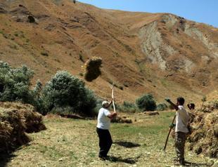 Villagers transport hay bales by zipline