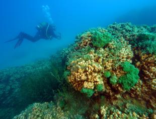 Scientists study underwater treasures of Lake Salda