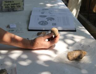 Seal impressions shed light on ancient bureaucracy