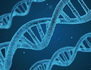 Turkey bridge between East, West with its genetic structure: Study