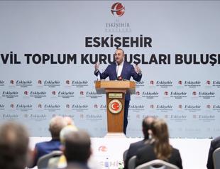 Ankara not refraining from taking action in Syria, Libya, E Med: FM